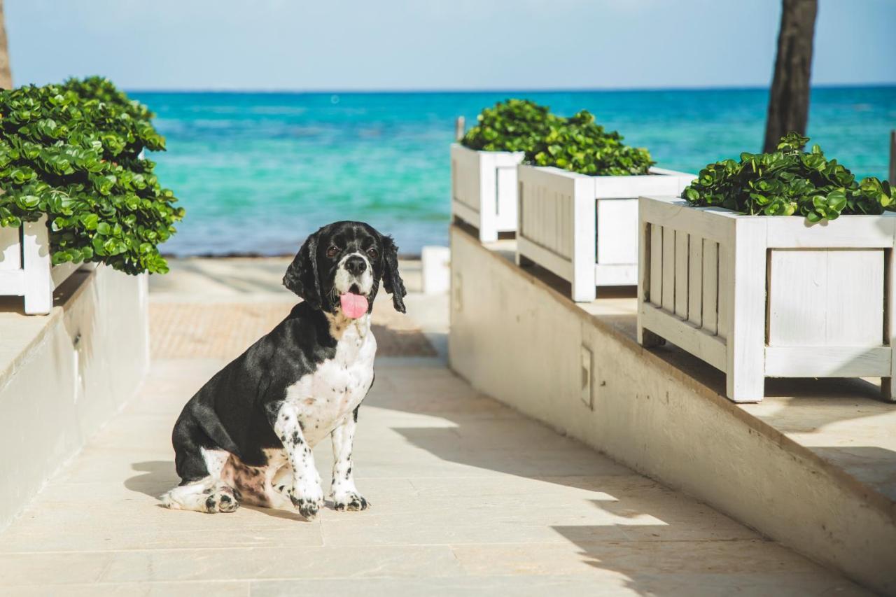 Thompson Playa Del Carmen Beach House, By Hyatt Bagian luar foto